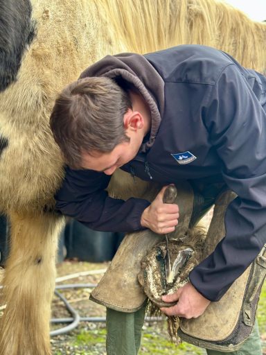 Parages Parage cheval Manche